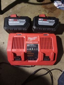 2 Milwaukee M18 HD12.0 Batteries with Dual Bay Charger