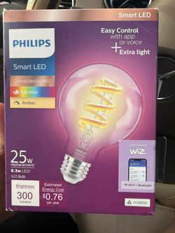 $15 each ! PHILIPS Smart Vintage Amber G25 25W Color Filament LED Smart Bulb
