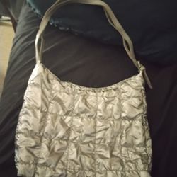 Silver Purse