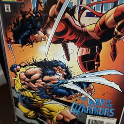 Wolverine Vs Elecktra