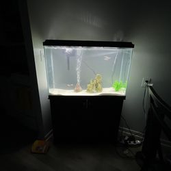 45 Gallon Fish Aquarium 