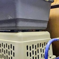 Dog Crate Kennel Gate