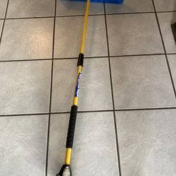Snow Broom. Extends