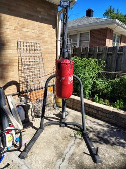 Punching bag stand , Everlast bag , and gloves