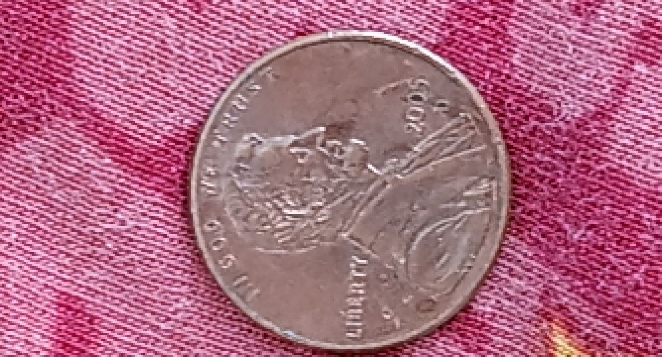 2005 D Error Penny. Dye Crack On Date And Under Nose.