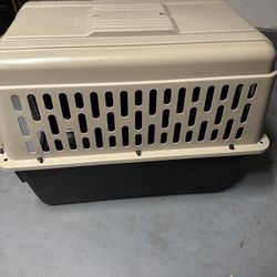 Kennel