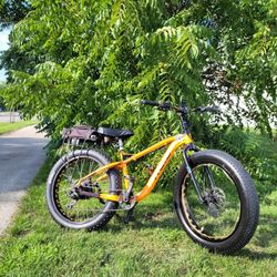 Used 750w Fat Tire E-Bike | Reid Sasquatch 