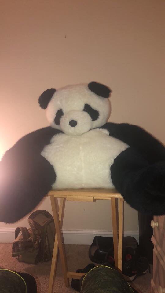 Giant stuffed panda bear