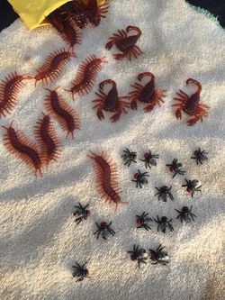New Real Looking Scorpion Flies & Centipedes Life Like