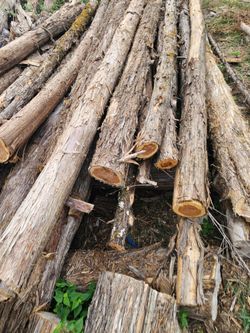 Cedar post and more material