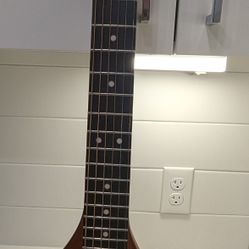 Travelers Pro Series Guitar 