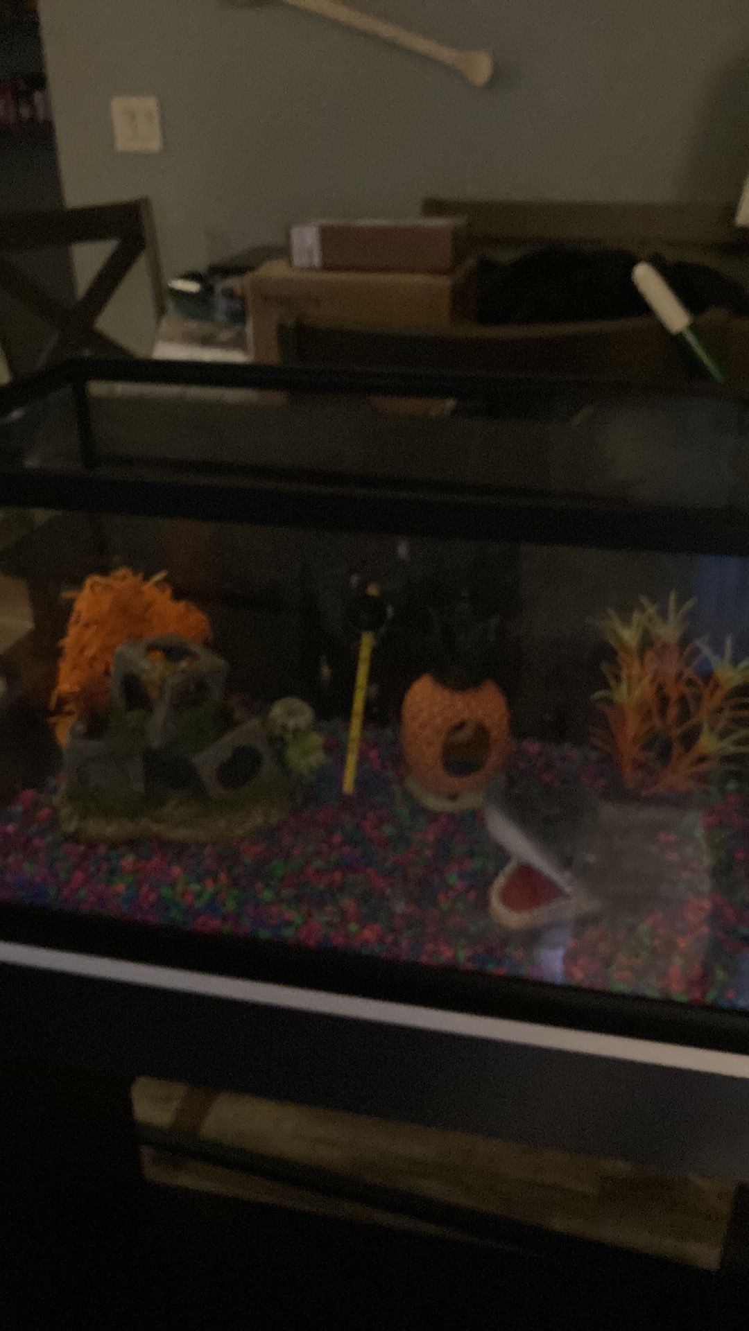 Fish Tank