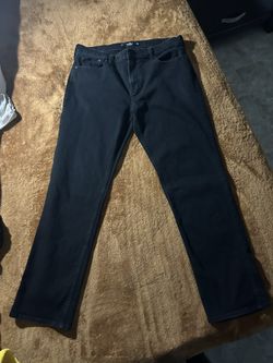 Hollister Straight