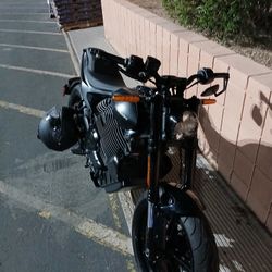 Electric Harley Davidson Alpanista 