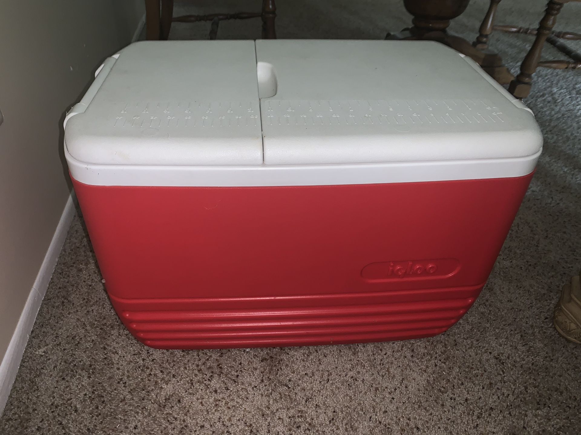 Red igloo cooler