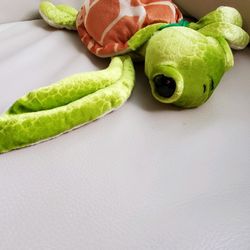 Cute Stuffed Turtle!