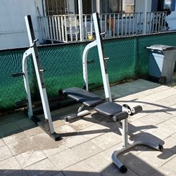 Olympic Bench Press &  adjustable 50 lb dumbbells 