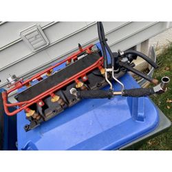 Ford OEM Restored Lower Intake Manifold 302.