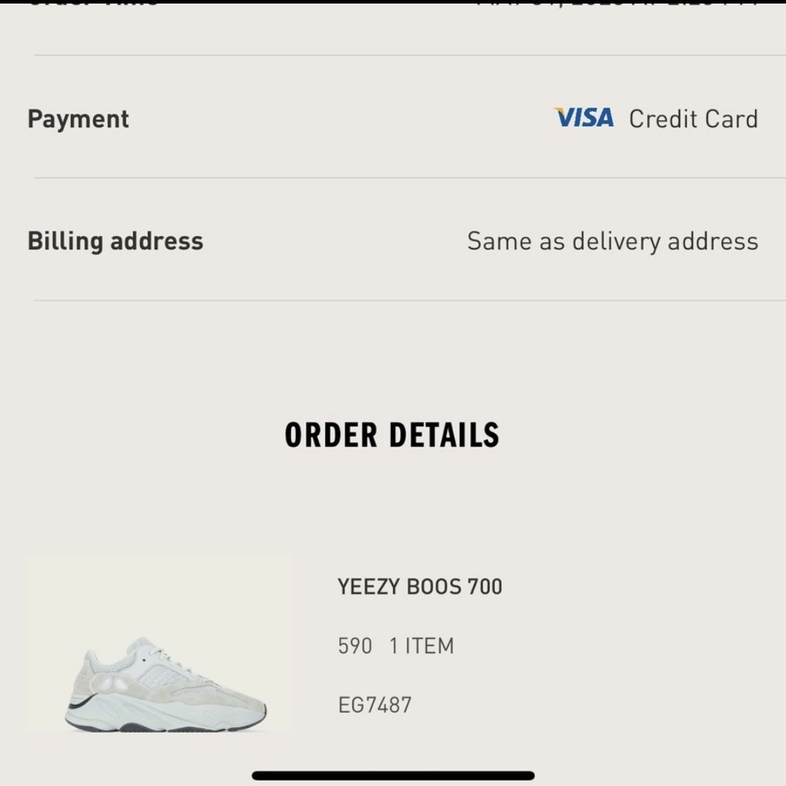 Yeezy Boost 700 “salt” NWT