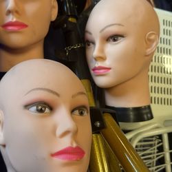 Two Wig Heads And Stand 