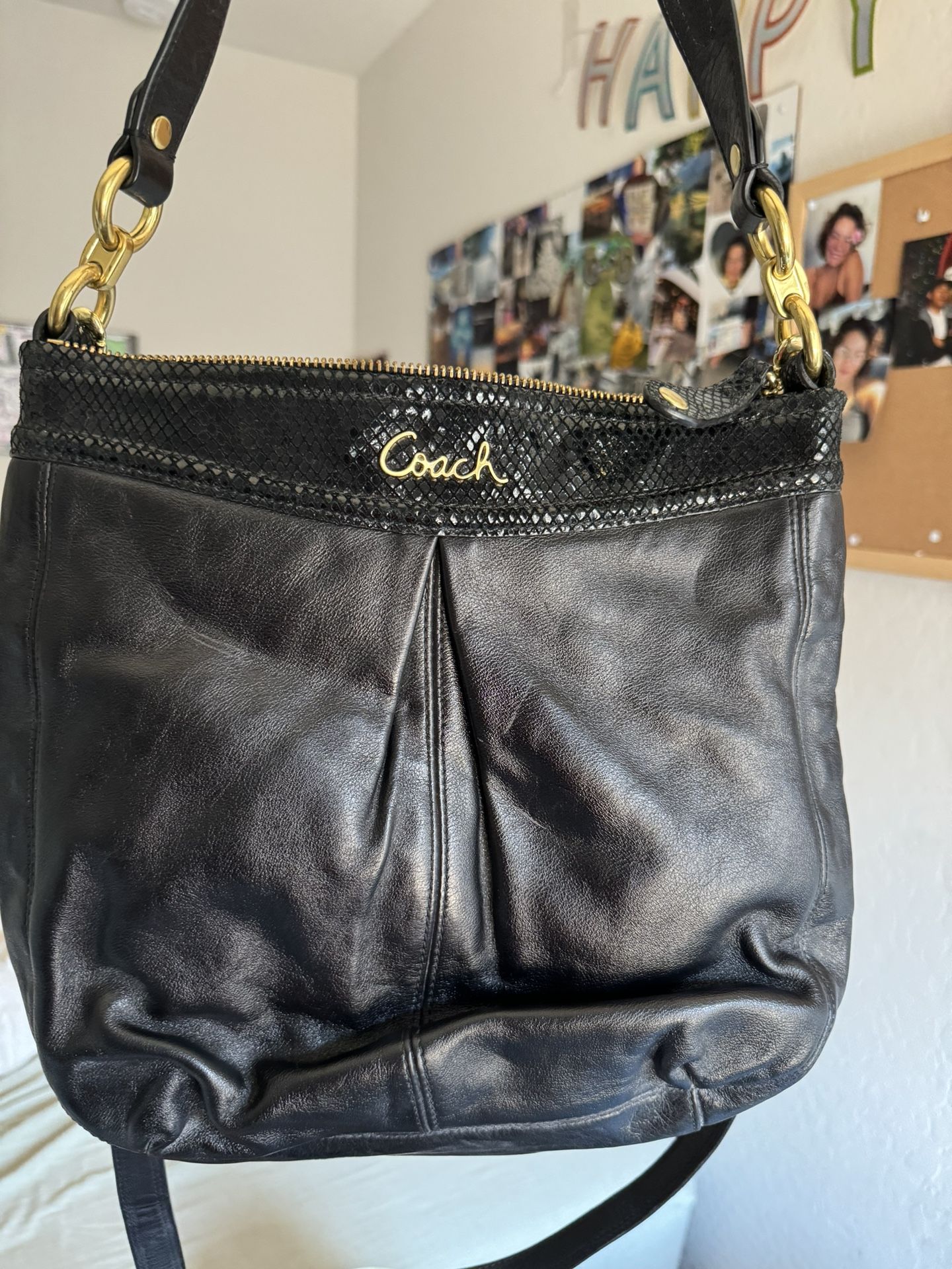 Coach Ashley Hobo Bag