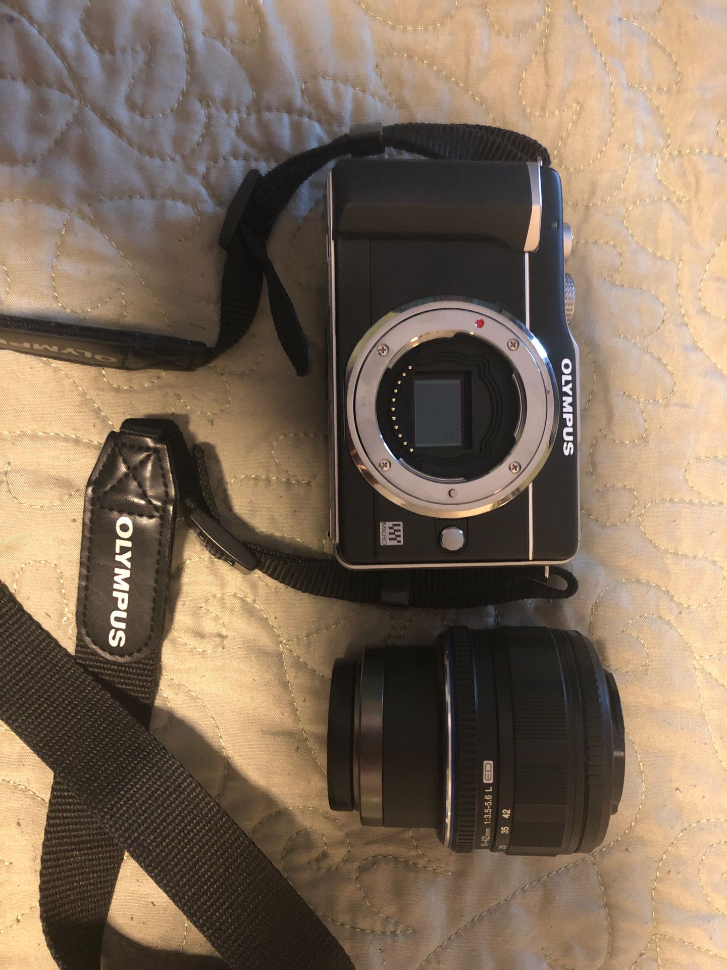 Olympus E – PL1 mirrorless Digital camera used with 14–42 mm lens.