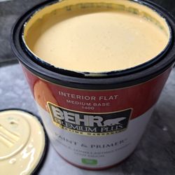 Behr Marsh Marigold $25 Flat Paint