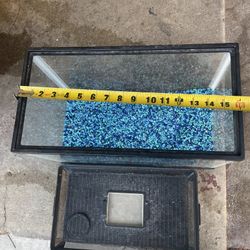 Tengo Una Pesera En Venta