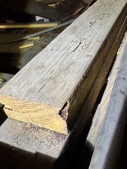 Termite Inspection Treatment Chemicals 