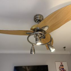 Ceiling Fan With Light
