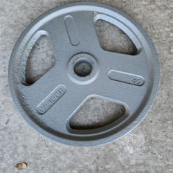 Single 45lb Weider Olympic Weight Plate--