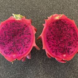 Large Red Magenta Purple Dragon Fruit Plants, Fully Rooted And Branching, Organically Grown