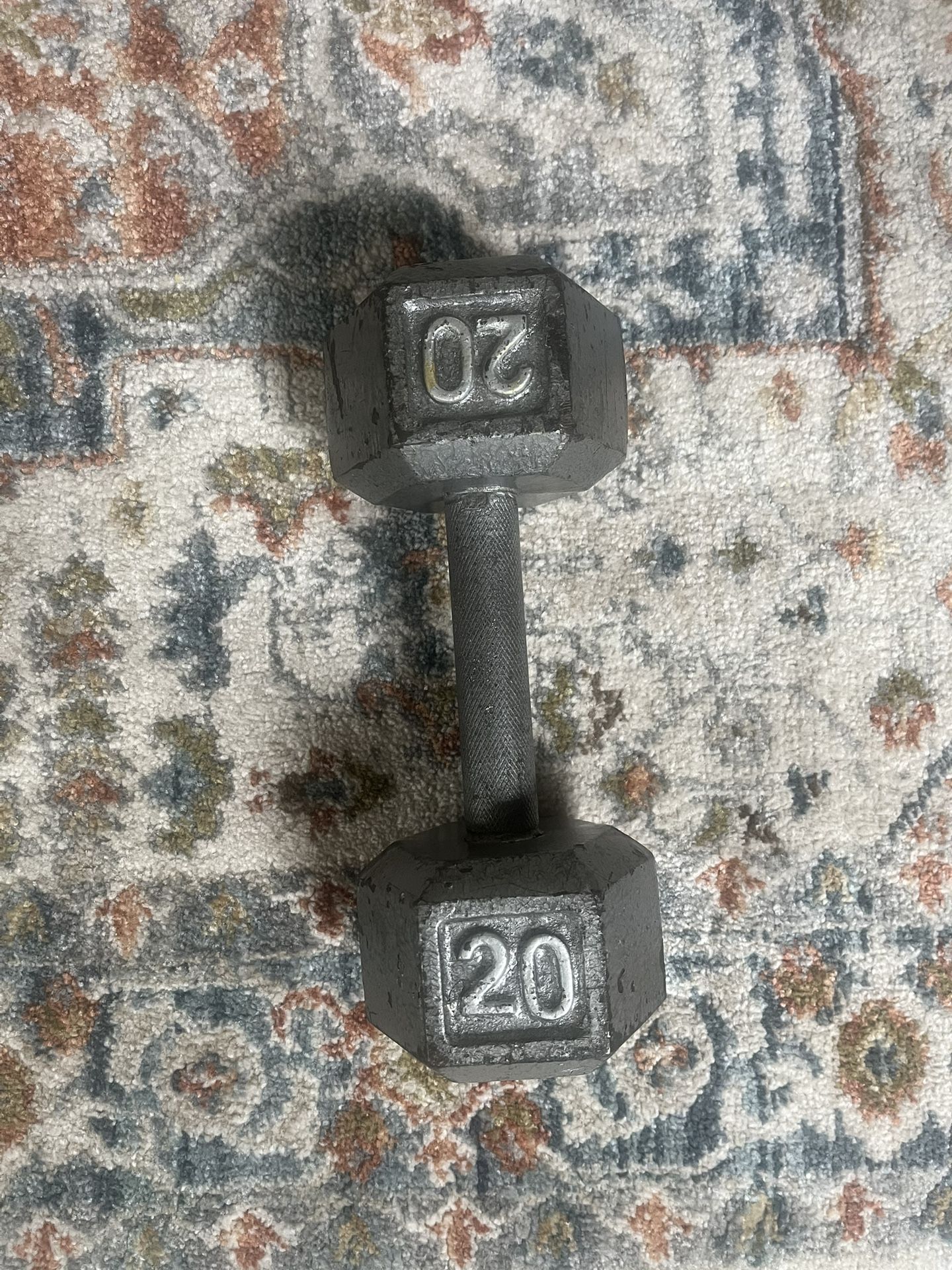 20 Pound Dumbbell
