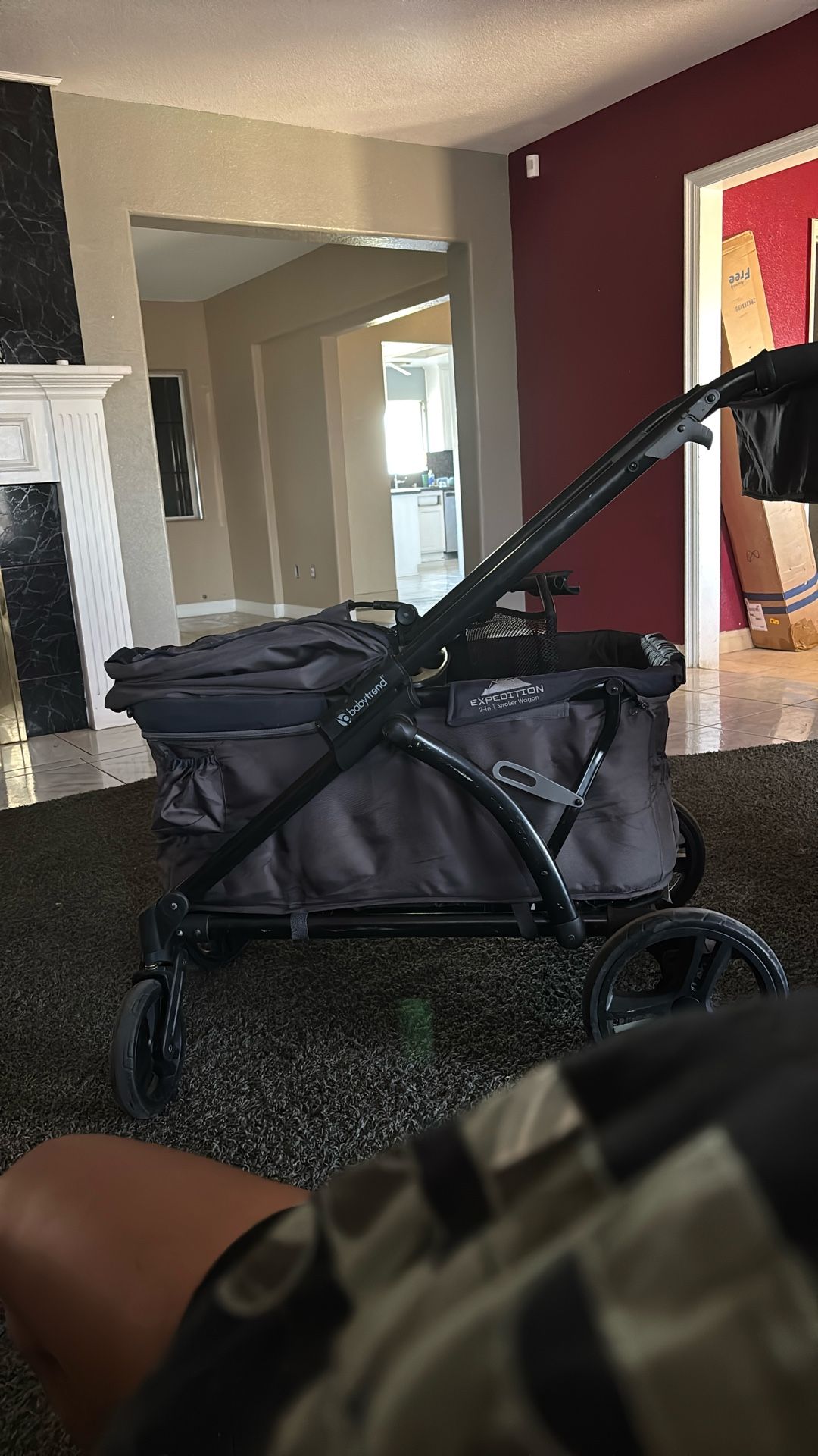 2 In 1 Stroller Wagon