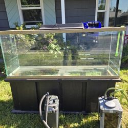 Fish Tank