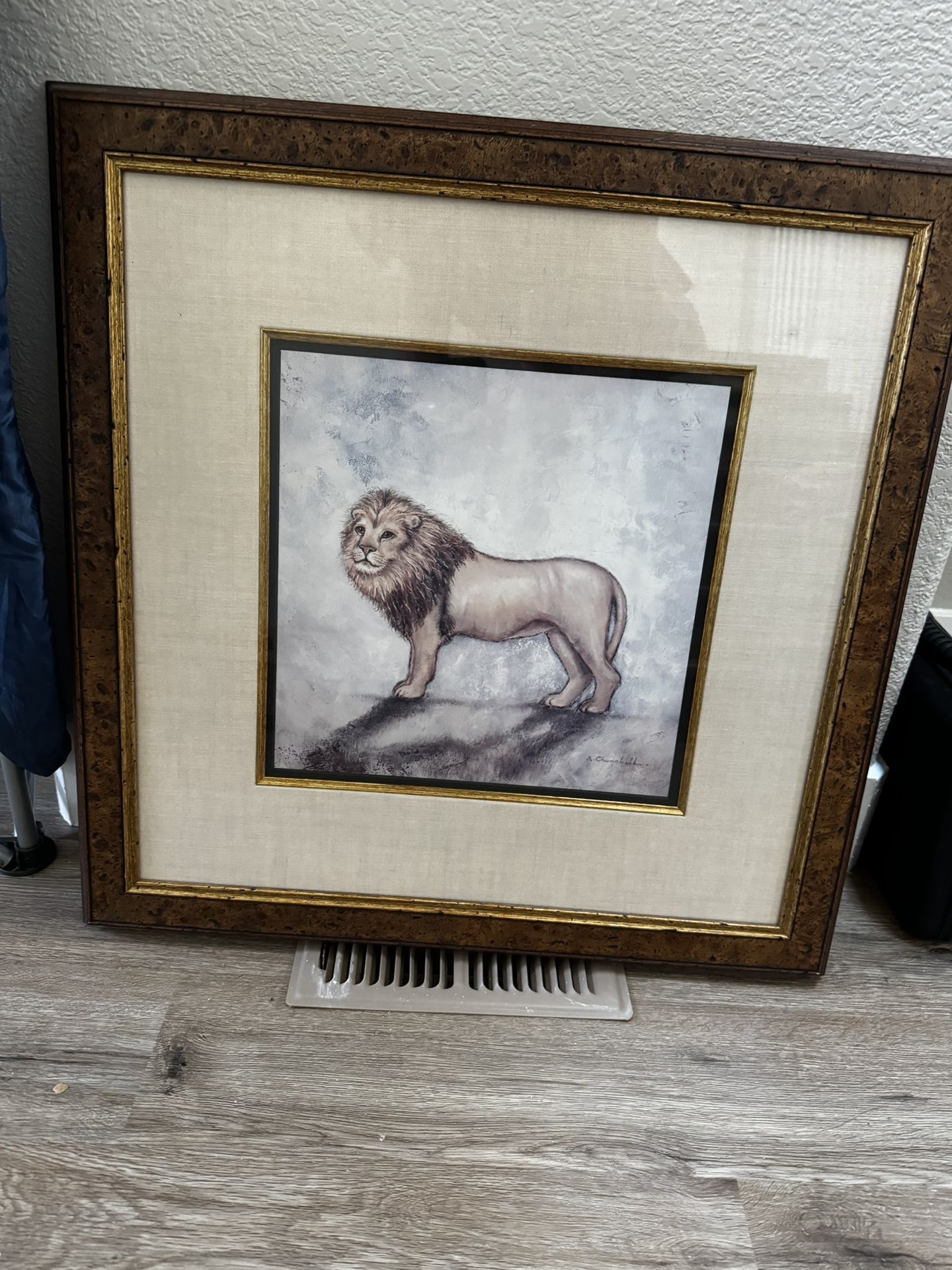 Lion Picture