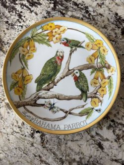 Bahama Parrot Plate