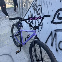 Mafia Bomma 29er FXD TRADES