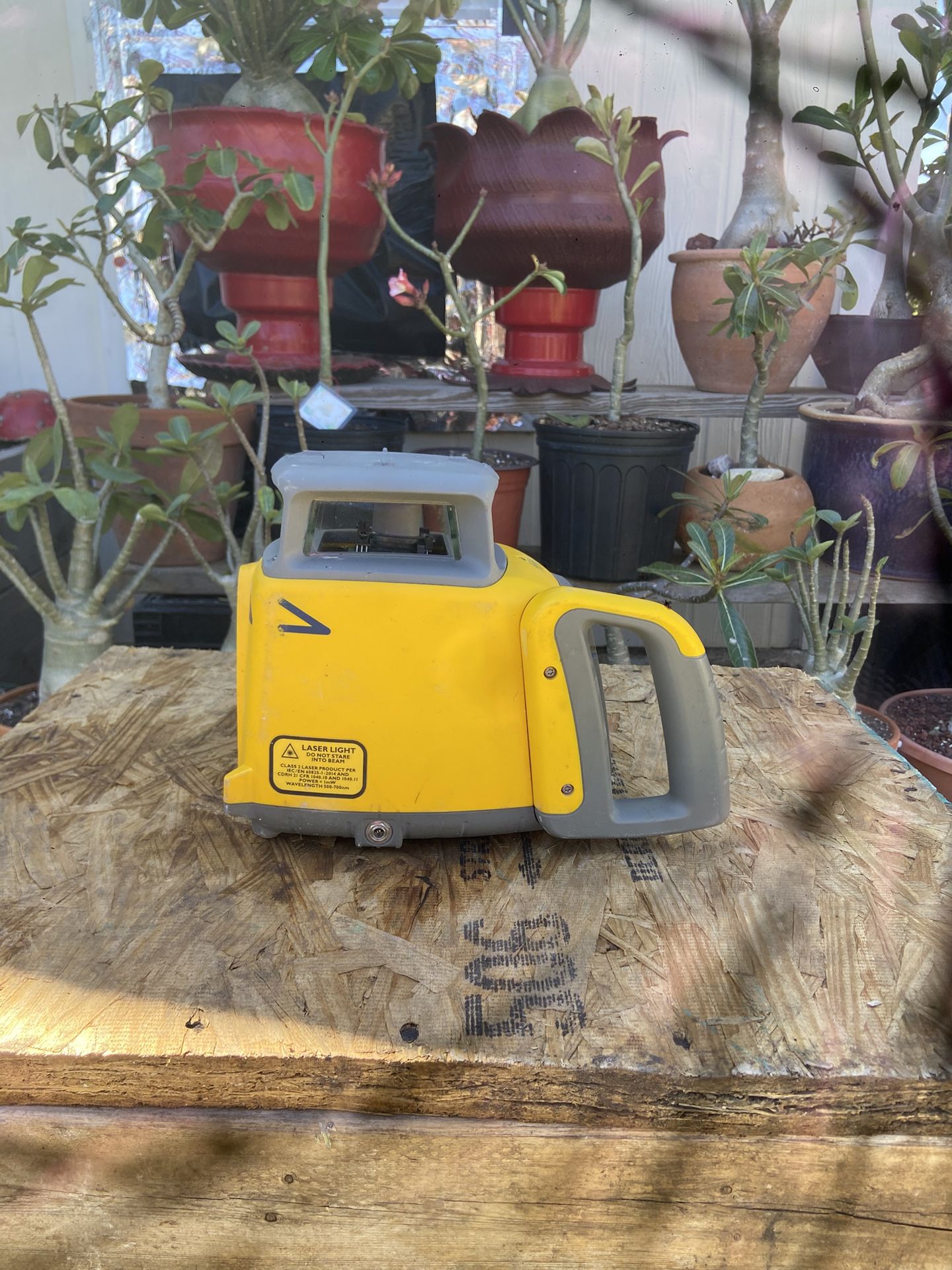 Leicer