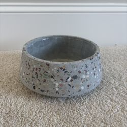 Dog Bowl