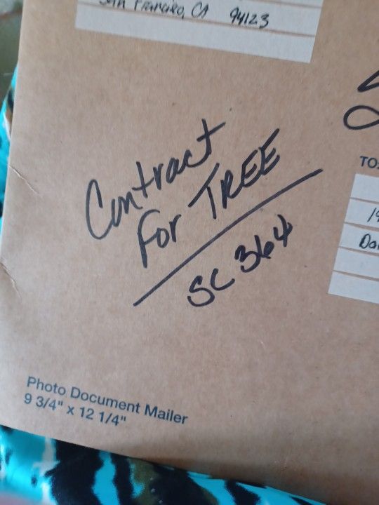 A Better Place Forest Tree For Your Ashes
