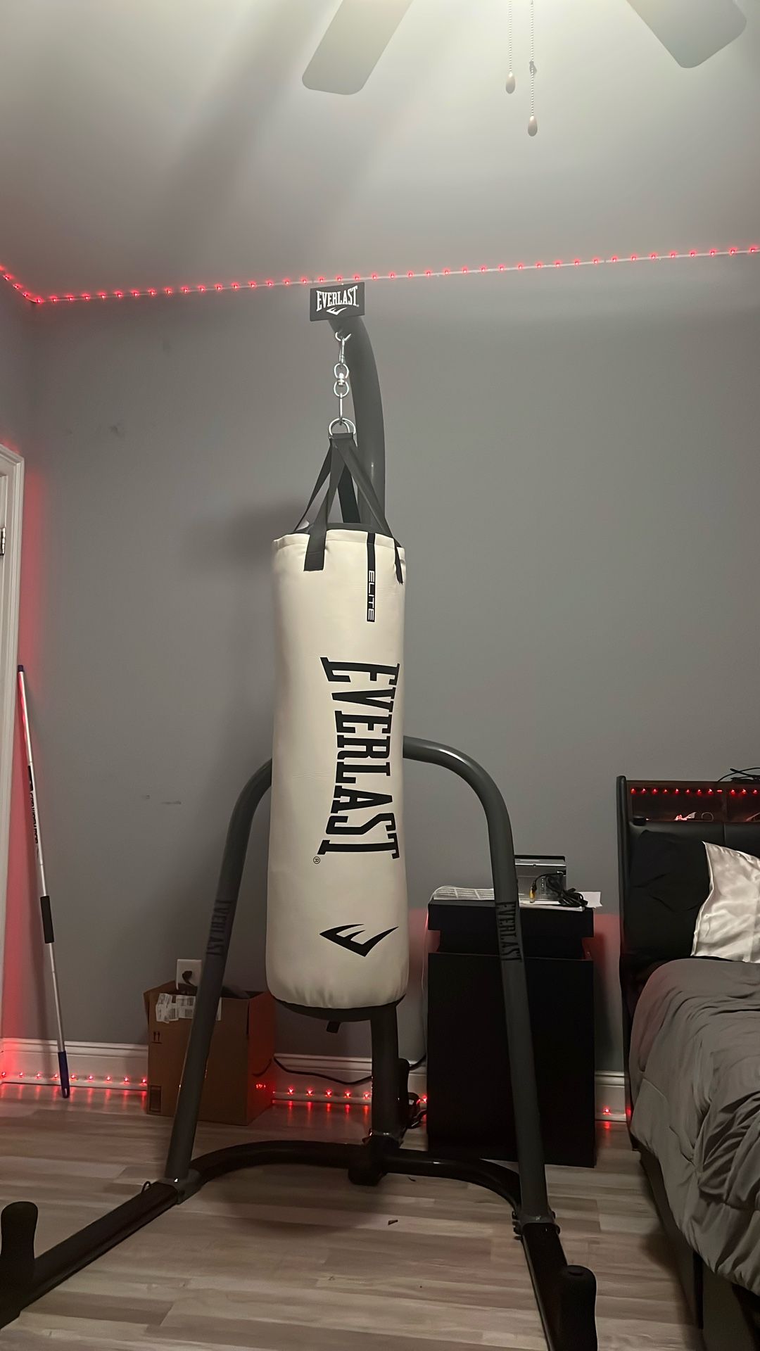 Everlast 70LB Bag+Stand