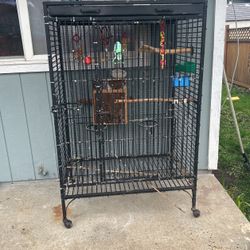 Bird Cage 