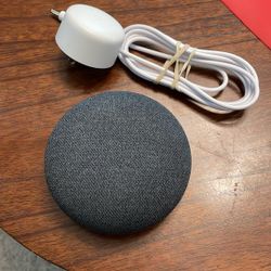 Google Nest  Mini 