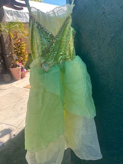 Princess Tiana costume