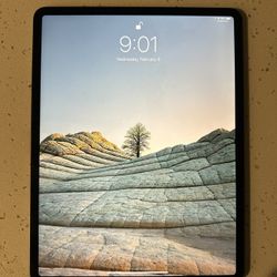 Ipad Pro 4 Genereation 12.9inch 128GB