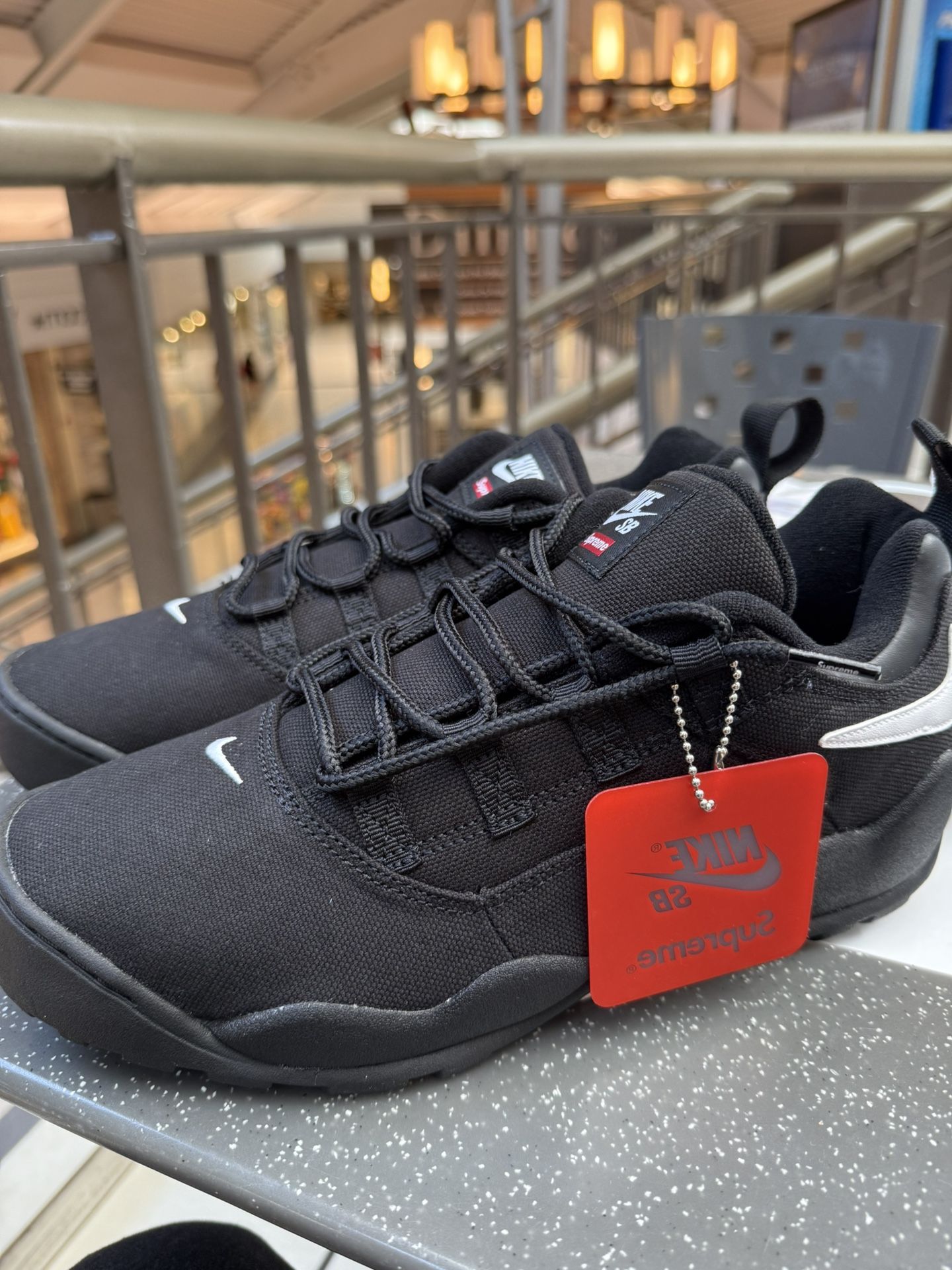 Supreme Nike SB Darwin Low