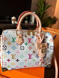 Louis Vuitton Speedy Multicolor Monogram Handbag