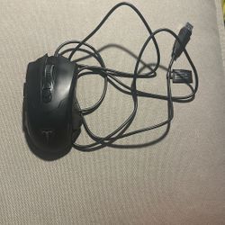 Computer Mouse