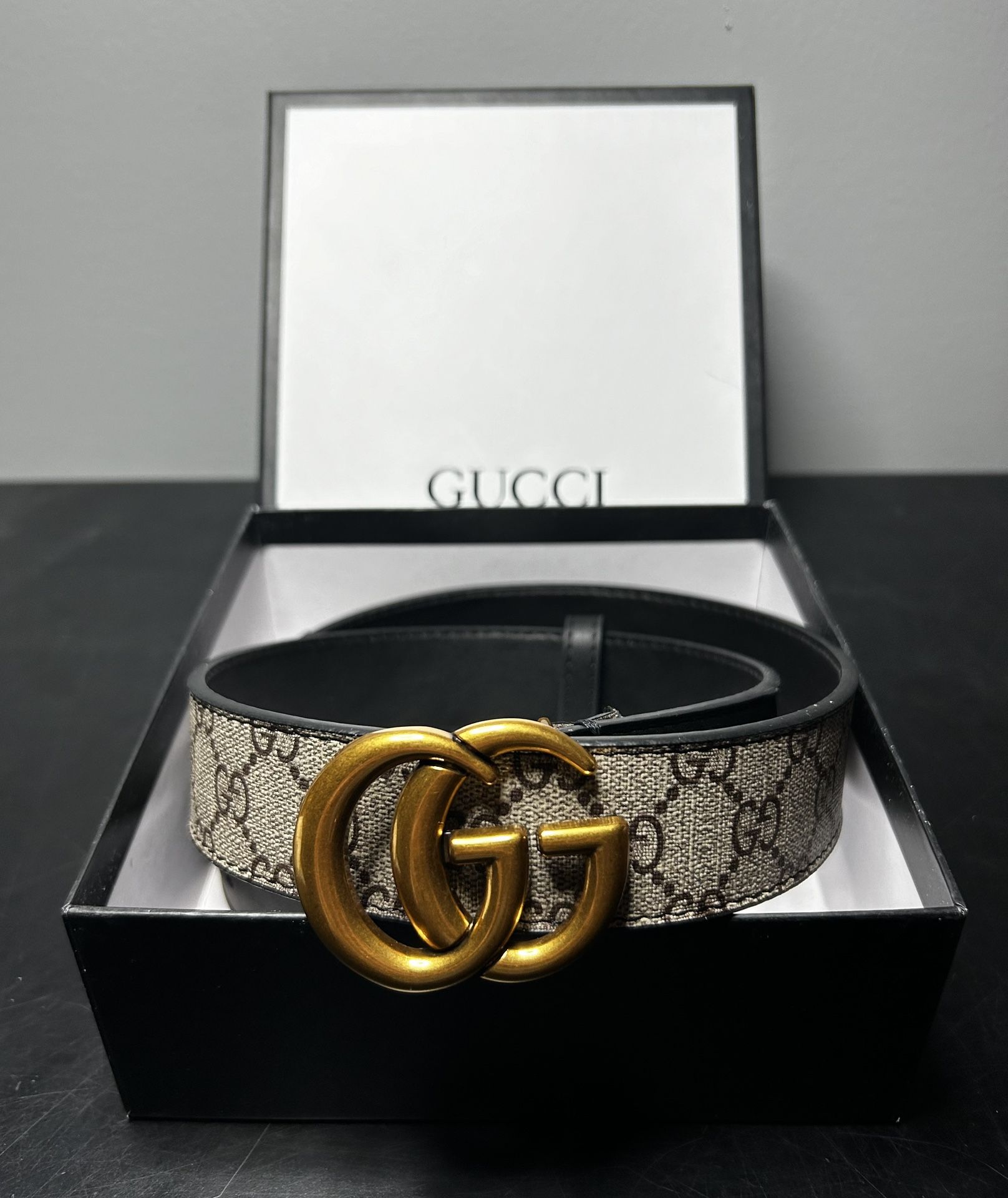 Gucci Marmot Reversible Belt with Gold Buckle 95cm/38in